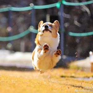 Meet your Posher, Rac